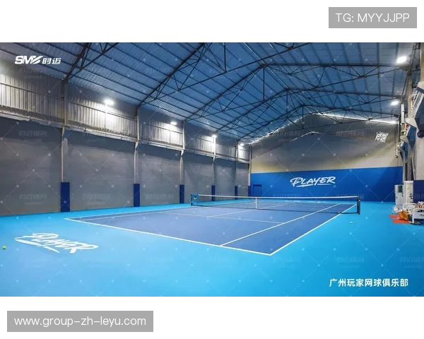 网球俱乐部推动基层场馆教学资源共享平台建设,网球场馆经营现状与对策分析研究目的 网球俱乐部推动基层场馆教学资源共享平台建设,网球场馆经营现状与对策分析研究目的
