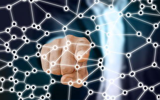 乐鱼体育官网登录-中国足球青训梯队人员年龄层结构，足球青训年龄段